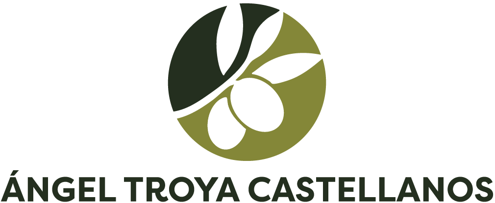 Logo primario Ángel Troya Castellanos